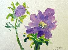 Original Floral Watercolor Paintings